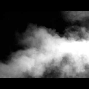 Walter Cook Photo 25 Walter Cook Photo 25