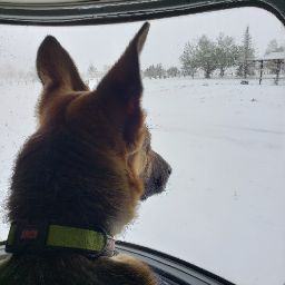 Robert Peters Photo 33