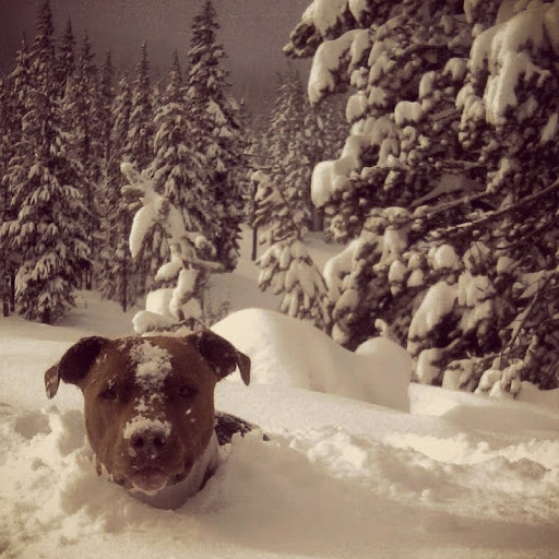 Maxine Roach Photo 10