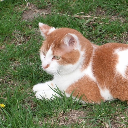 Nancy Meier Photo 35