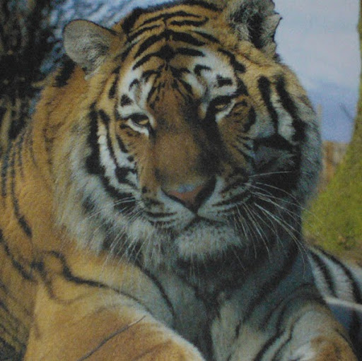 Christine Roper Photo 29