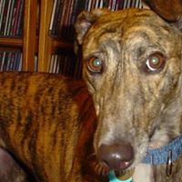 Teresa Tubbs Photo 18