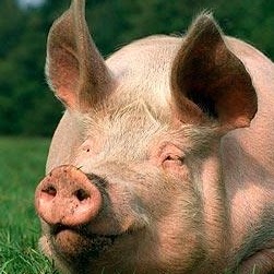 Harry Spence Photo 27