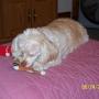 Janice Hayes Photo 16