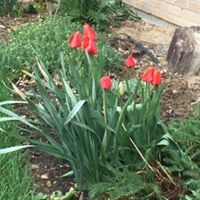 Jody Matthews Photo 16