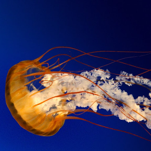 Kris Griffith Photo 9