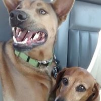 Stephanie Spann Photo 9