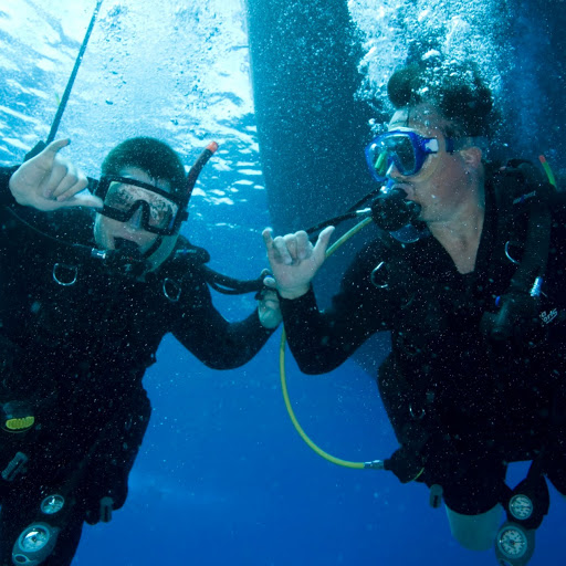 Terri Walker Photo 36 Terri Walker Photo 36