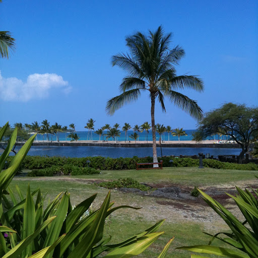 Shawn Andrus Photo 11