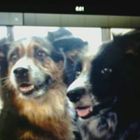 Debra Mcfarland Photo 13