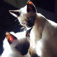 Anne Roberts Photo 27