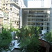 Ronald Aldrich Photo 16