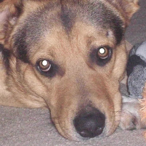 Steve Rankin Photo 33