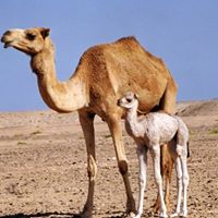 Carla Bloom Photo 10