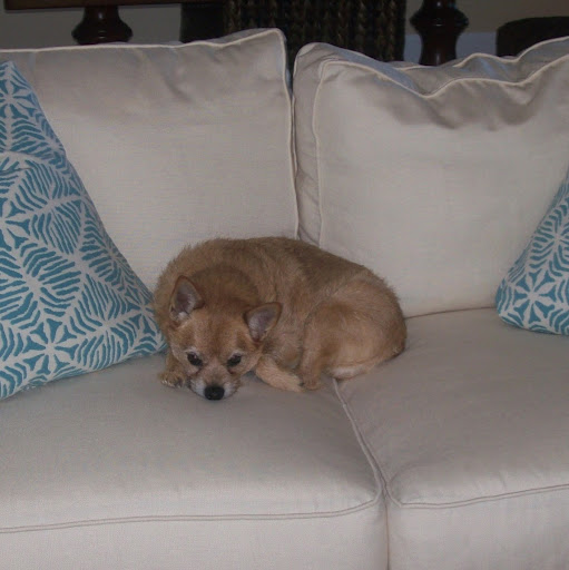 Kathleen Coolidge Photo 9