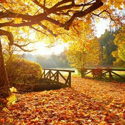 Laura Hendrickson Photo 12