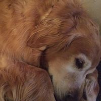 Margaret Field Photo 21