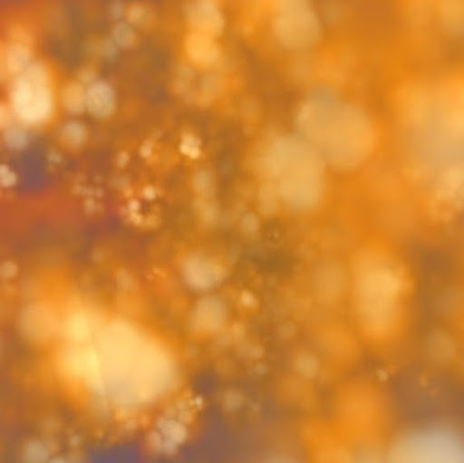 Richard Mcfarlane Photo 12