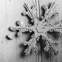 Daniel Yang Photo 29