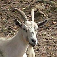 Timothy Noble Photo 11