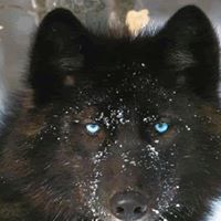 Darrin Sharp Photo 6