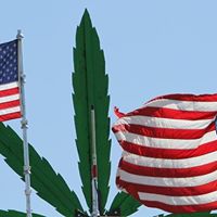 Bruce Meyer Photo 51 Bruce Meyer Photo 51