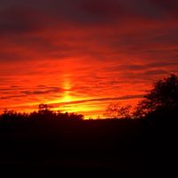 Gail Kuhn Photo 11