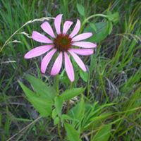 Katherine Rhoades Photo 11