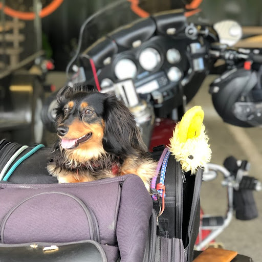 Jack O'Neil Photo 15