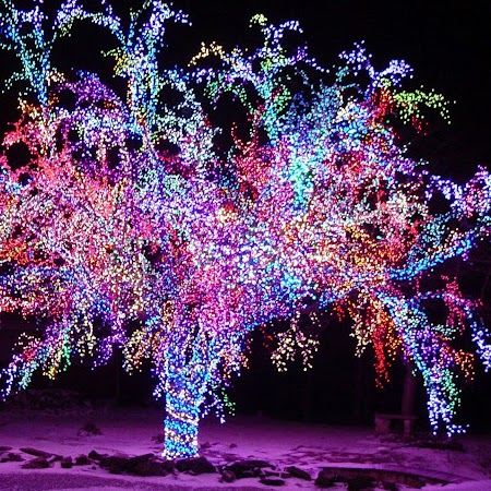 Catherine Coates Photo 14