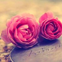 Chen Liu Photo 39 Chen Liu Photo 39