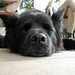 Beth Borders Photo 29