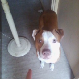 David Heaton Photo 46