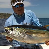 Robert Rollins Photo 29 Robert Rollins Photo 29