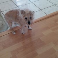 Vicky Carter Photo 33