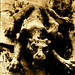 Peter Welsh Photo 21