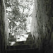 Louis Rubino Photo 21