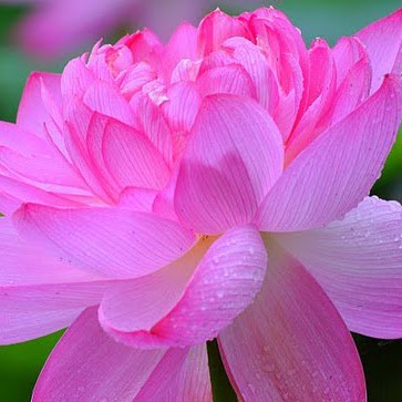 Anna Holmberg Photo 28