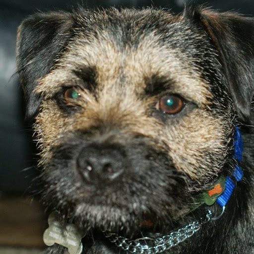 Douglas Gordon Photo 54