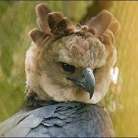 Terry Wickham Photo 19