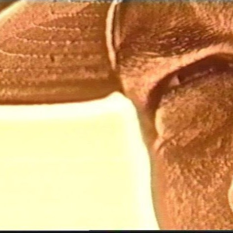 Robert Barr Photo 44