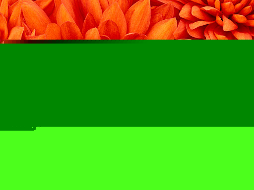 Maria O'Neill Photo 20