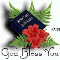 David Phelan Photo 32