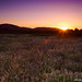 Mark Summers Photo 39