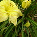 Marie Beckman Photo 12