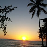 Michele Frick Photo 4