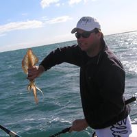 Clinton Scott Photo 15