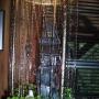 Debra Daniel Photo 25