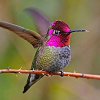 Patricia Frey Photo 30