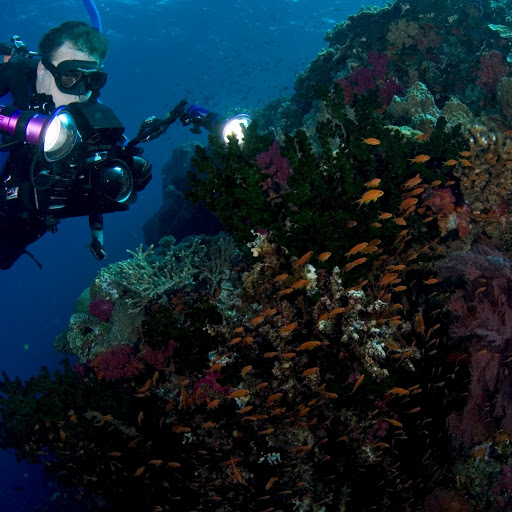 Walter Marti Photo 9 Walter Marti Photo 9